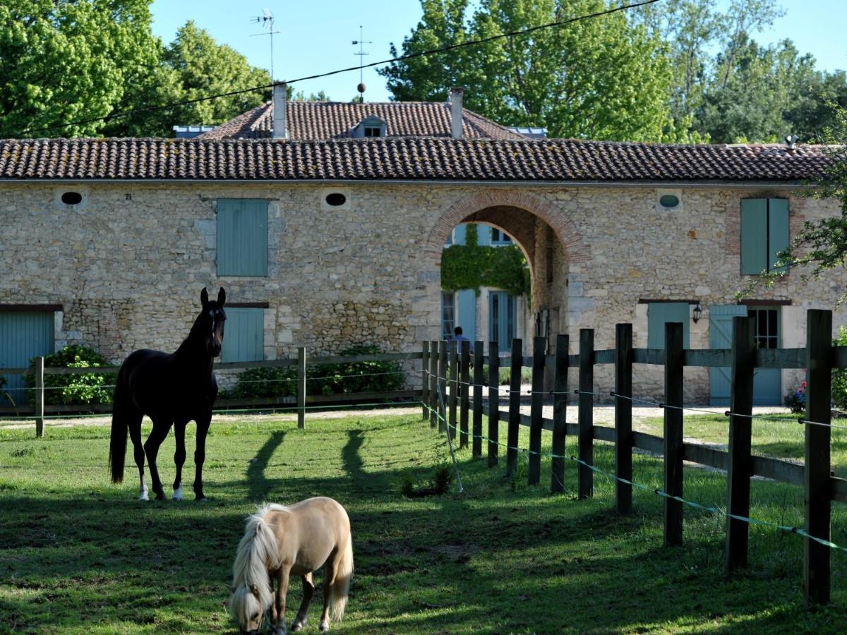 Chateau De L'Isle - Chambres D'Hotes Castelnau-de-Médoc Dış mekan fotoğraf